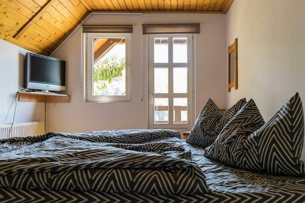 Florile Bucegilor Villa Sinaia Kültér fotó