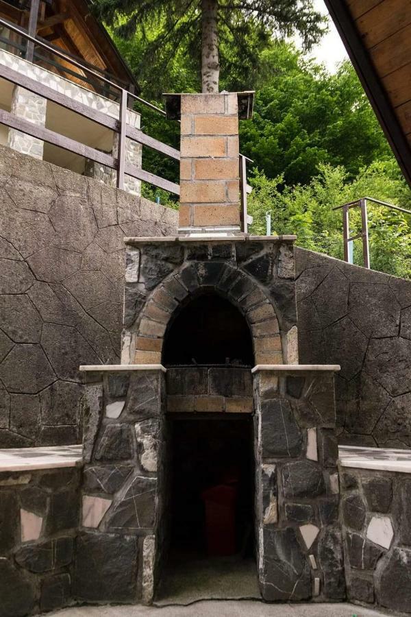 Florile Bucegilor Villa Sinaia Kültér fotó