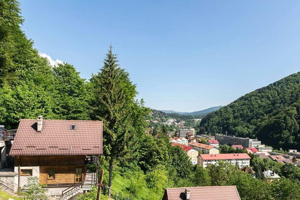 Florile Bucegilor Villa Sinaia Kültér fotó