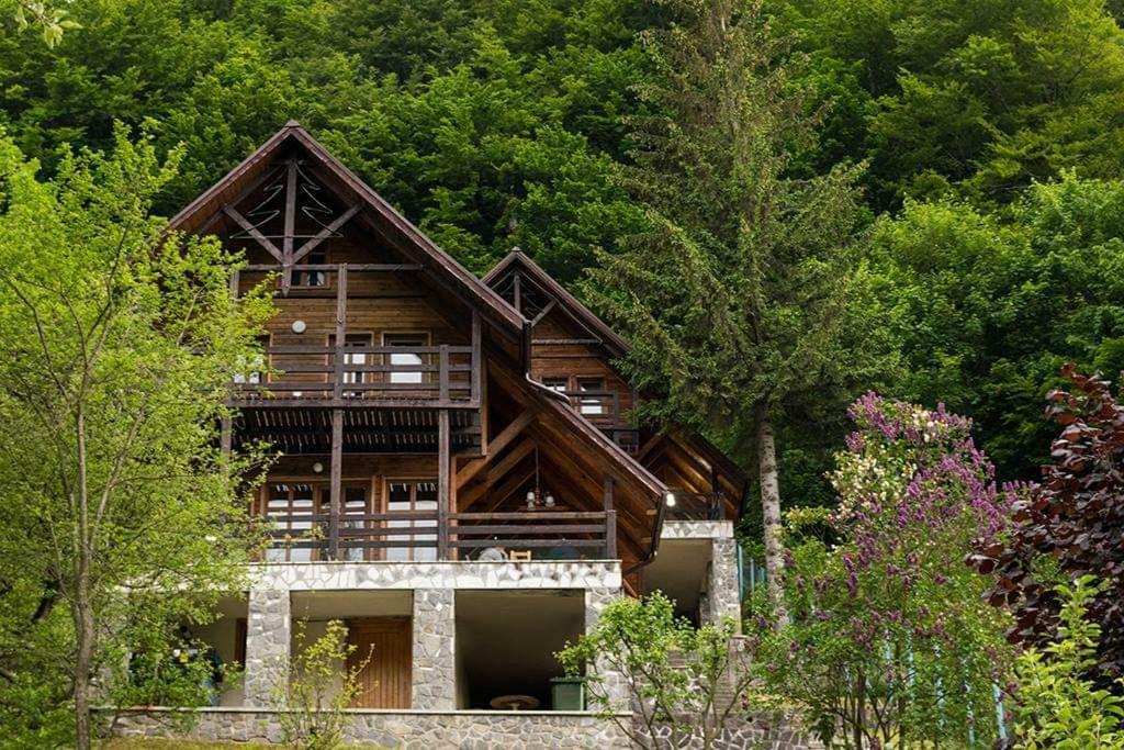Florile Bucegilor Villa Sinaia Kültér fotó
