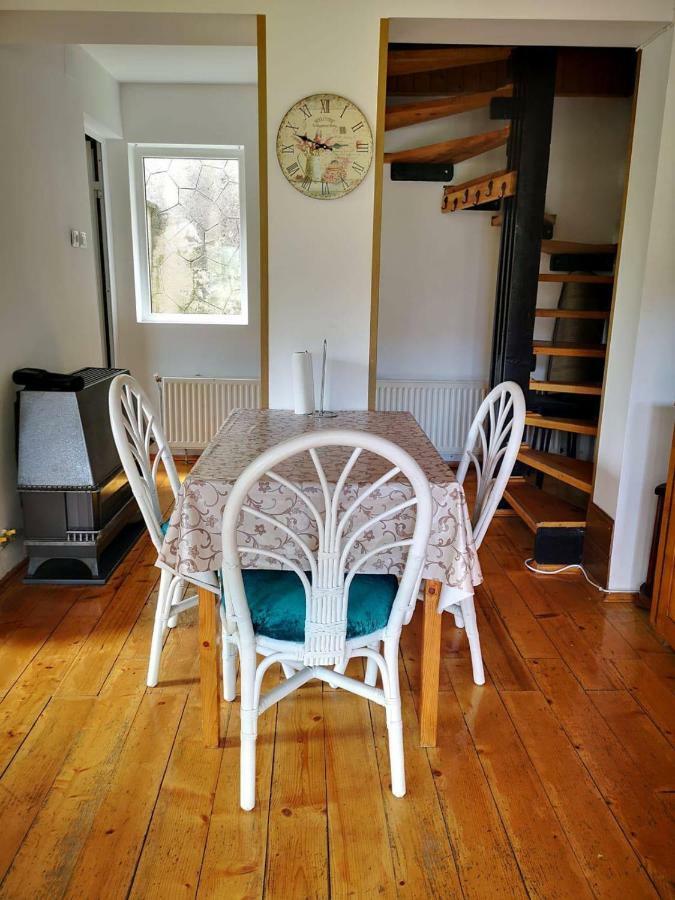 Florile Bucegilor Villa Sinaia Kültér fotó