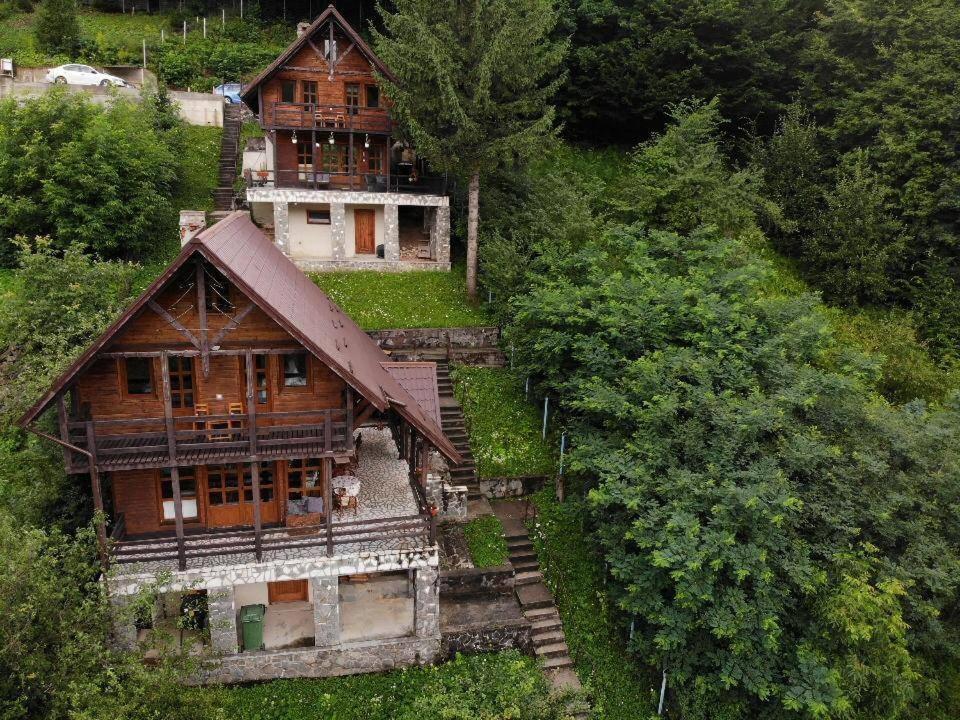 Florile Bucegilor Villa Sinaia Kültér fotó